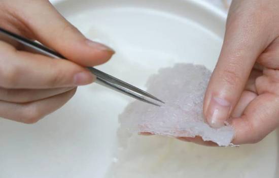 Giá tổ yến bao nhiêu? Cách sơ chế và chưng yến đơn giản nhất