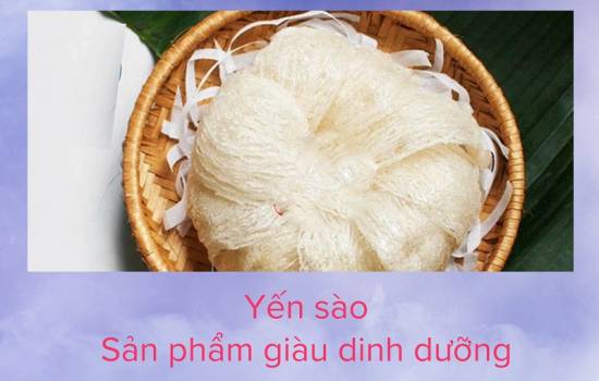Bảng giá tổ yến sào chính hãng mới nhất