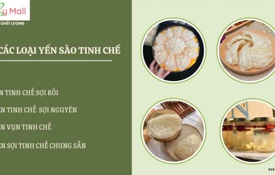 Địa chỉ bán Yến sào tinh chế sợi rối SR3 uy tín, giá rẻ ở đâu?