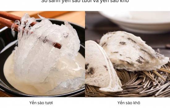 So sánh yến tươi và yến khô: Cách dùng ra sao, loại nào tốt hơn?