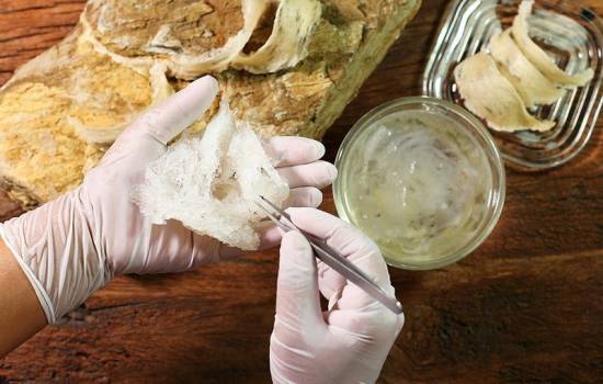 Bí quyết làm sạch tổ yến từ A-Z