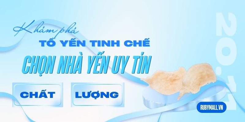 Tổ yến tinh chế là gì?