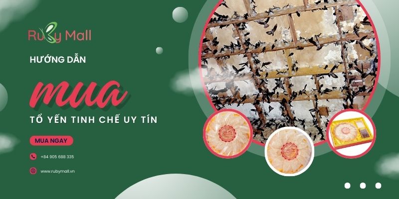Hướng dẫn mua tổ yến tinh chế uy tín