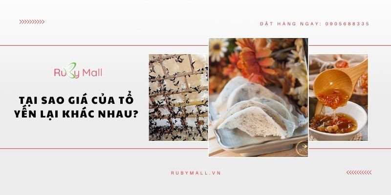 Tại sao giá của tổ yến lại khác nhau?